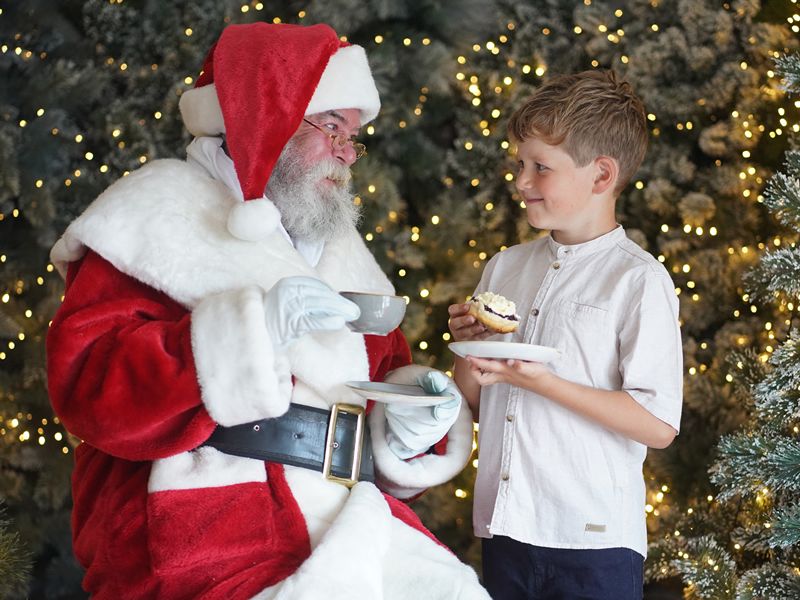 Dine with Santa, join in the festive fun with Dobbies