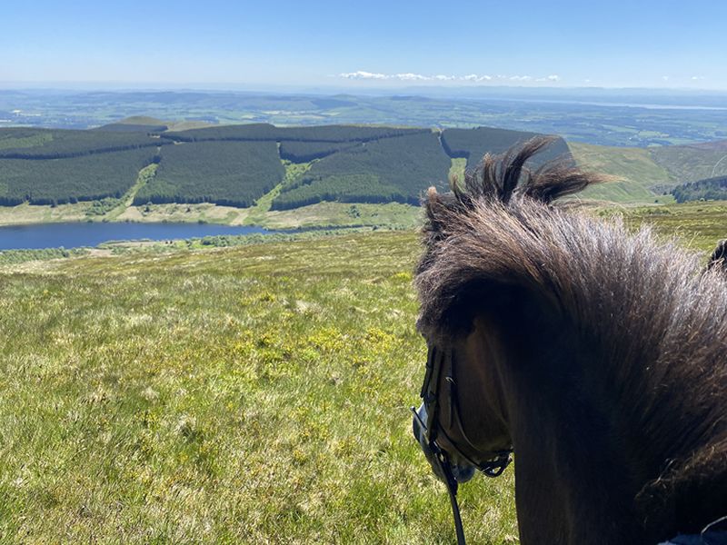 Exmoor Pony Trekking
