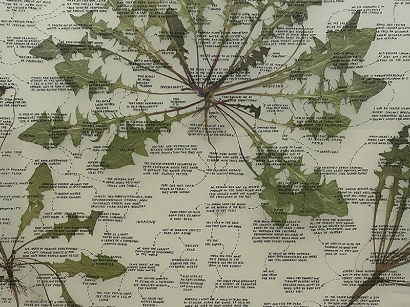 Edinburgh Science Festival: Shipping Roots