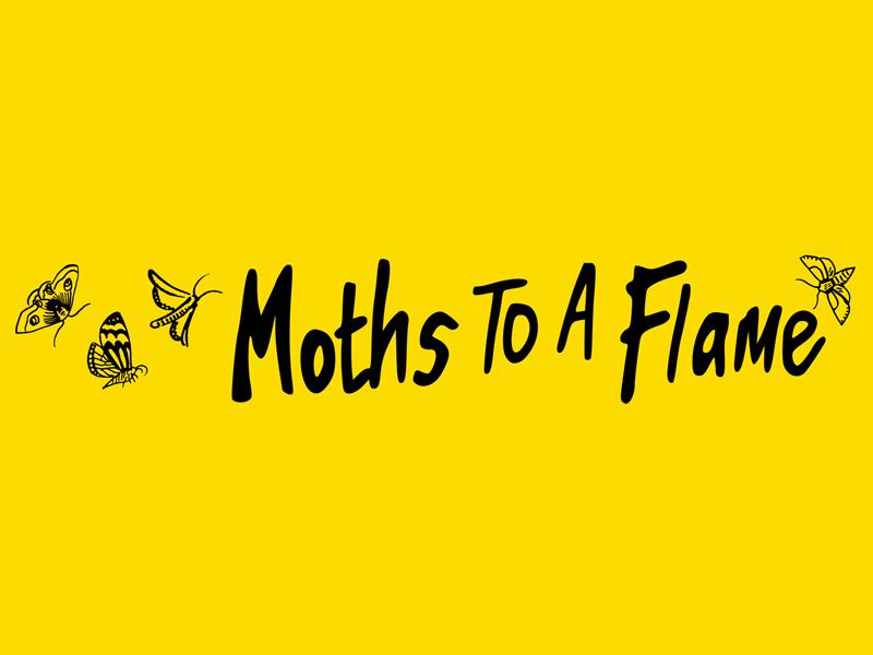 Moths to a Flame Art Installation