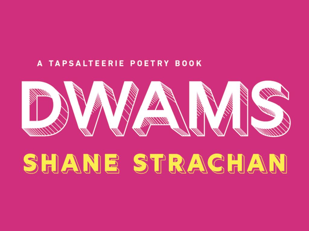 Poetry Launch - DWAMS by Shane Strachan