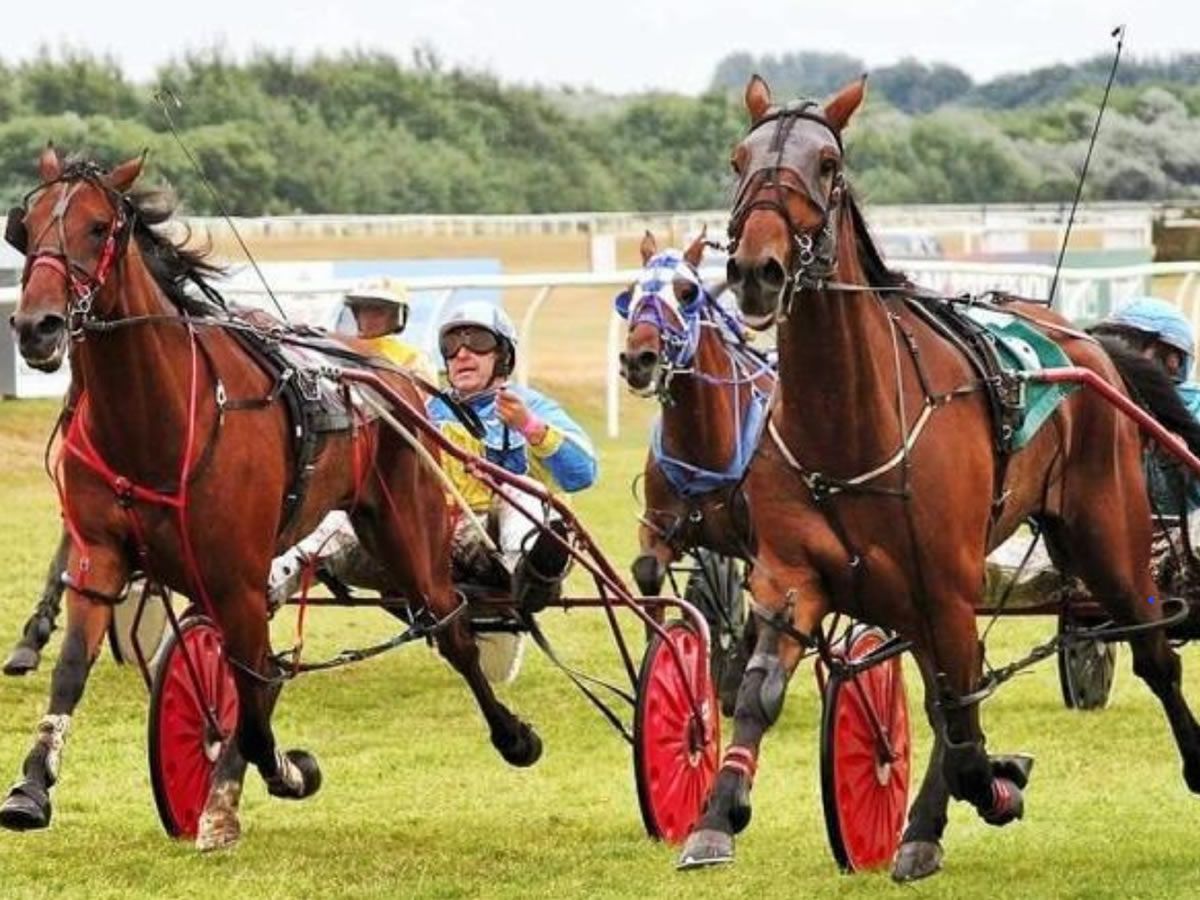 Musselbourgh Harness Racing