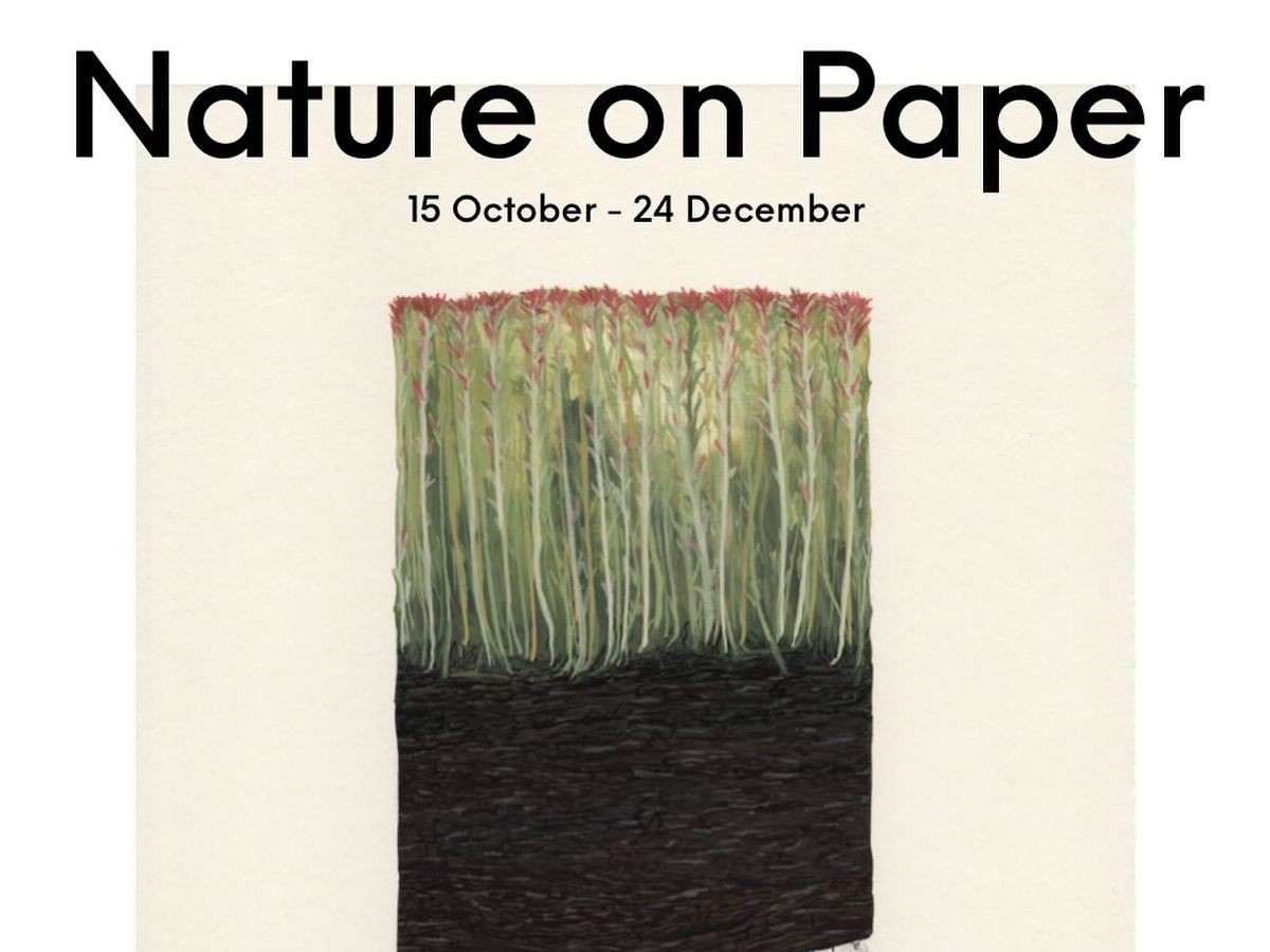 Nature on Paper