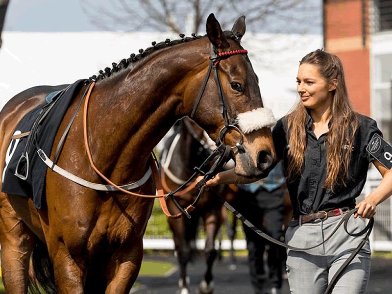 The Racing TV Evening Meeting at Musselburgh Racecourse, Musselburgh