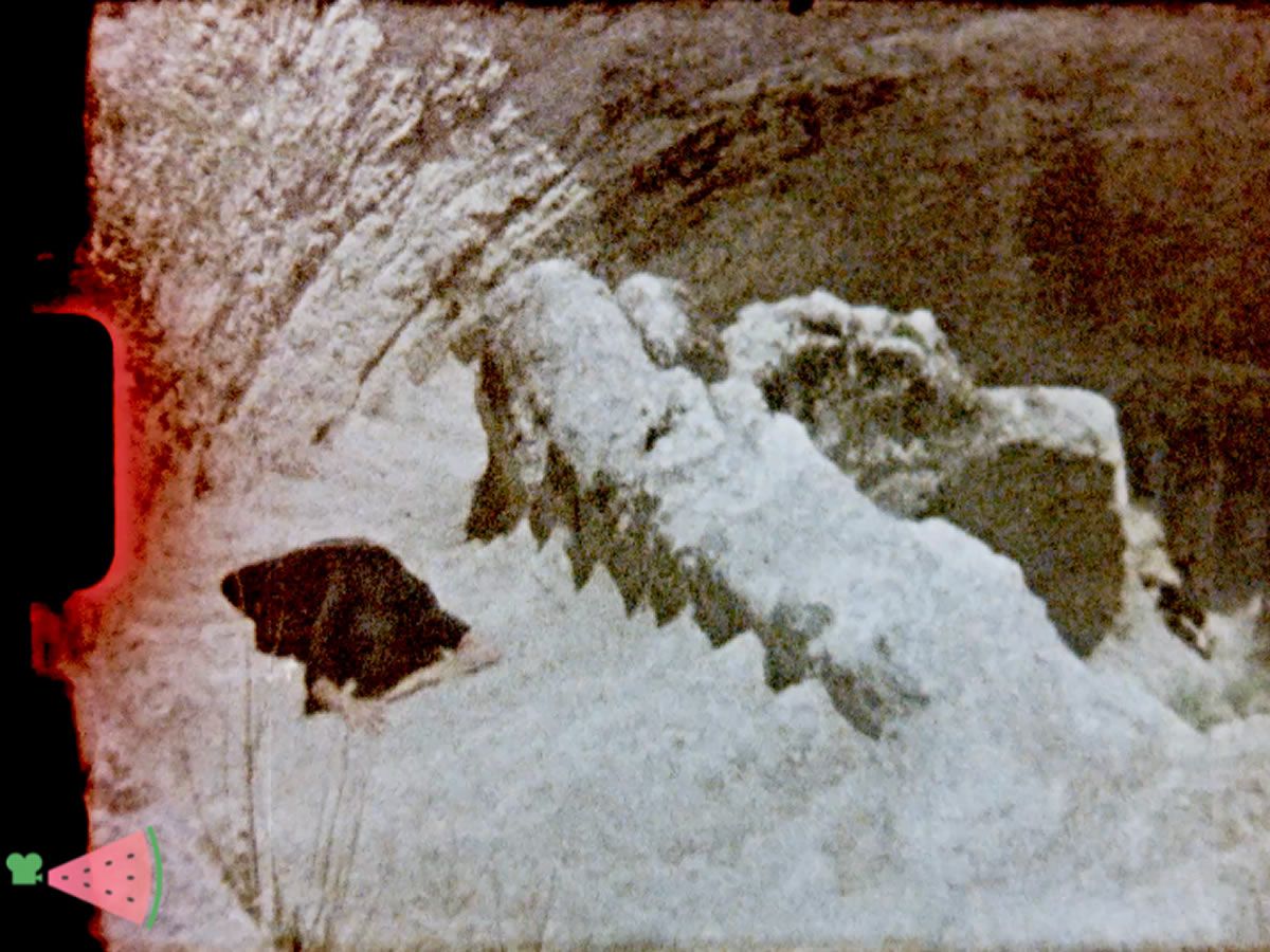 Falastin Film Festival: Performing Archaeology