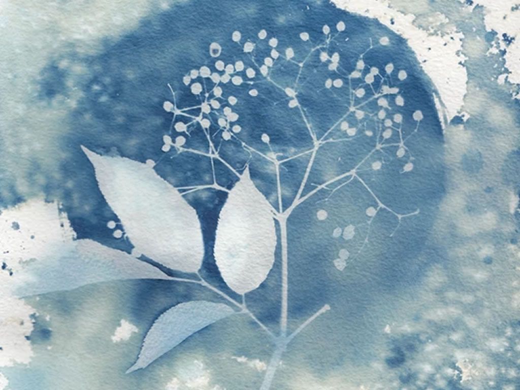 Cyanotype Printing on Paper and Textiles