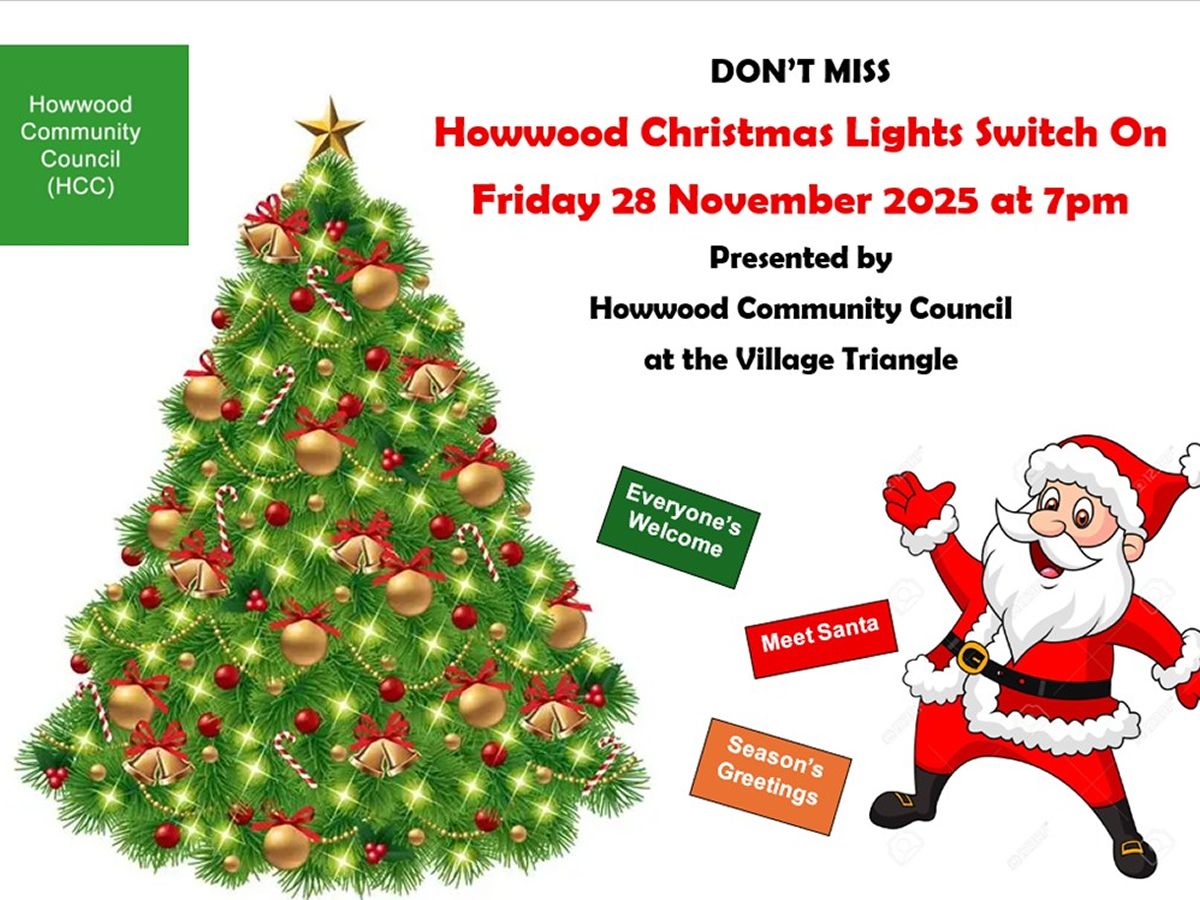 Howwood Christmas Lights Switch On