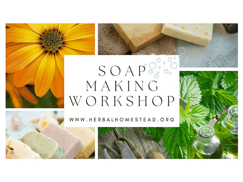 Natural Soap Making Course