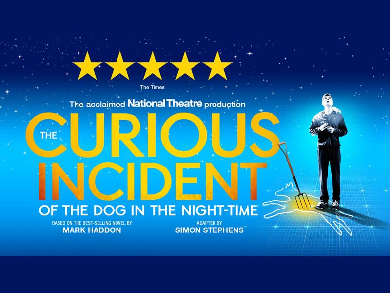 The Curious Incident of the Dog in the Night-Time