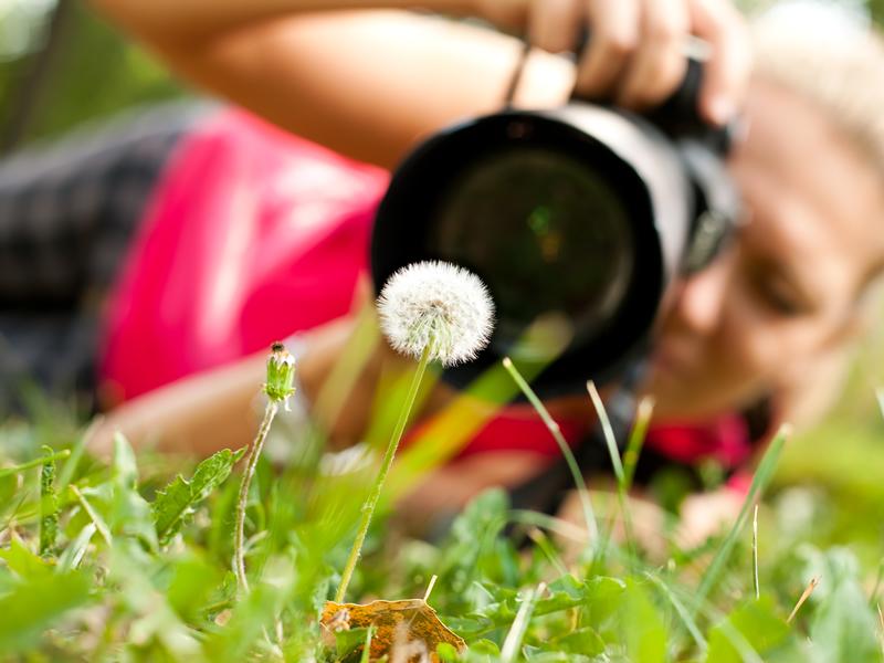 Wildlife and Photo Walks and Talks Group