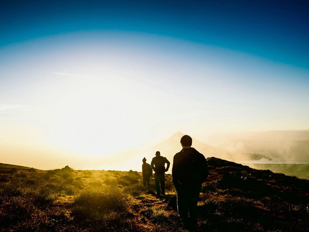 Calton Consort: Path of Miracles
