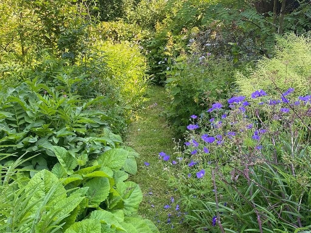 Scotland’s Gardens Scheme Open Garden: Kirkbrae House