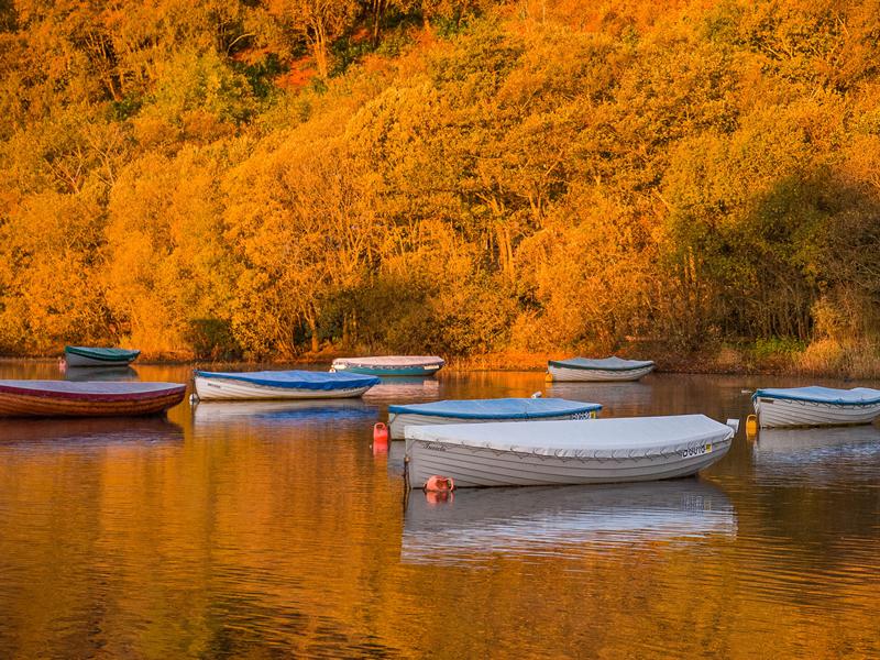 Love Loch Lomond set for busy autumn and winter with new campaign and booking system