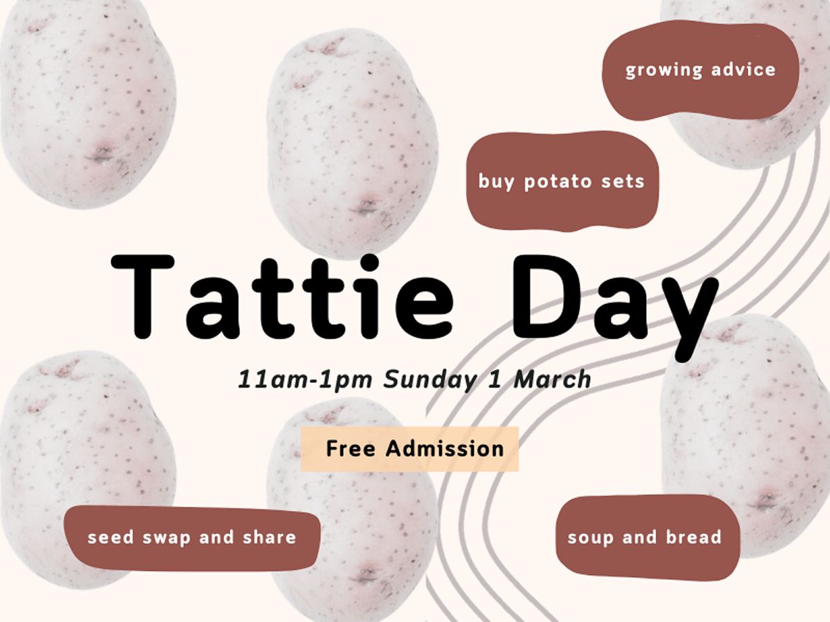 Tattie Day