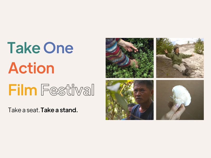 Take One Action Film Festival