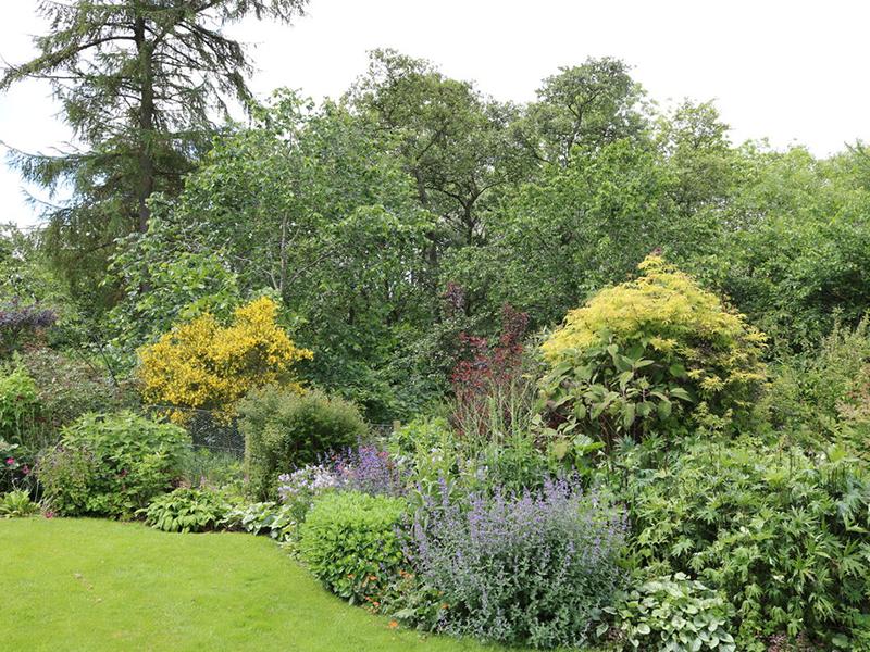 Scotland’s Gardens Scheme Open Garden: Humbie Dean