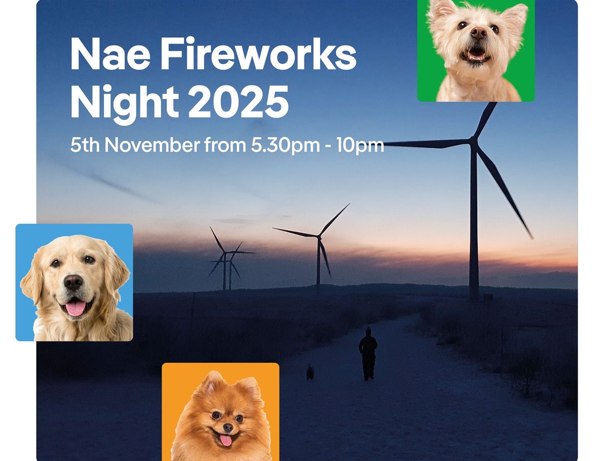 Nae Fireworks Night