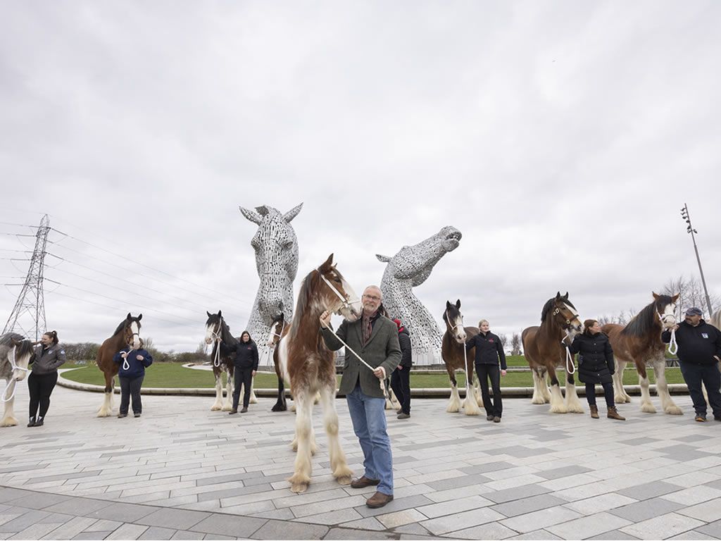 Clydesdale Horses Gather to celebrate Kelpies Sculptures Effect a decade on