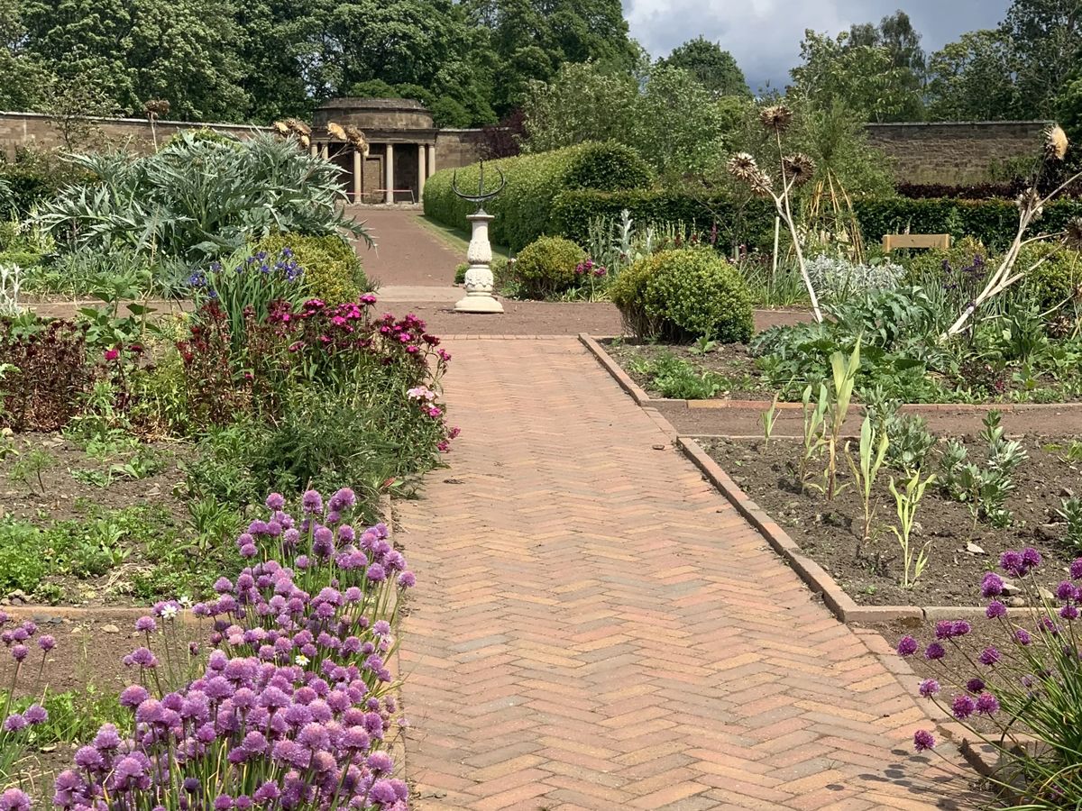 Sunflowers & Biophilic Design with Lynn Hill Garden Design