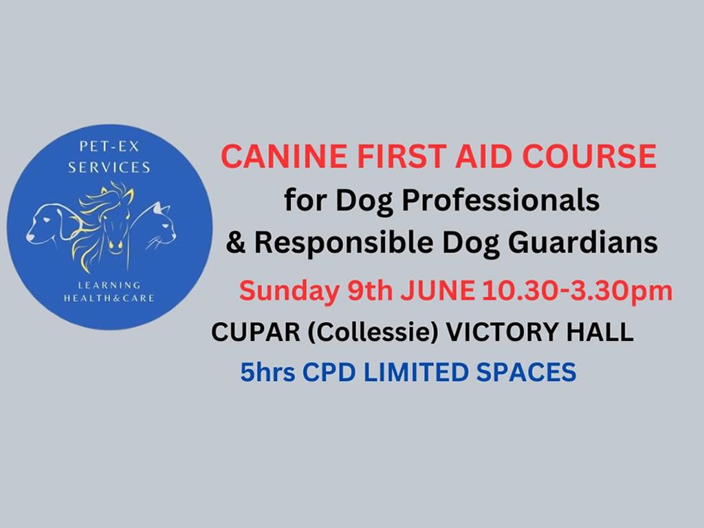 Canine First Aid Course: Cupar (Collessie)