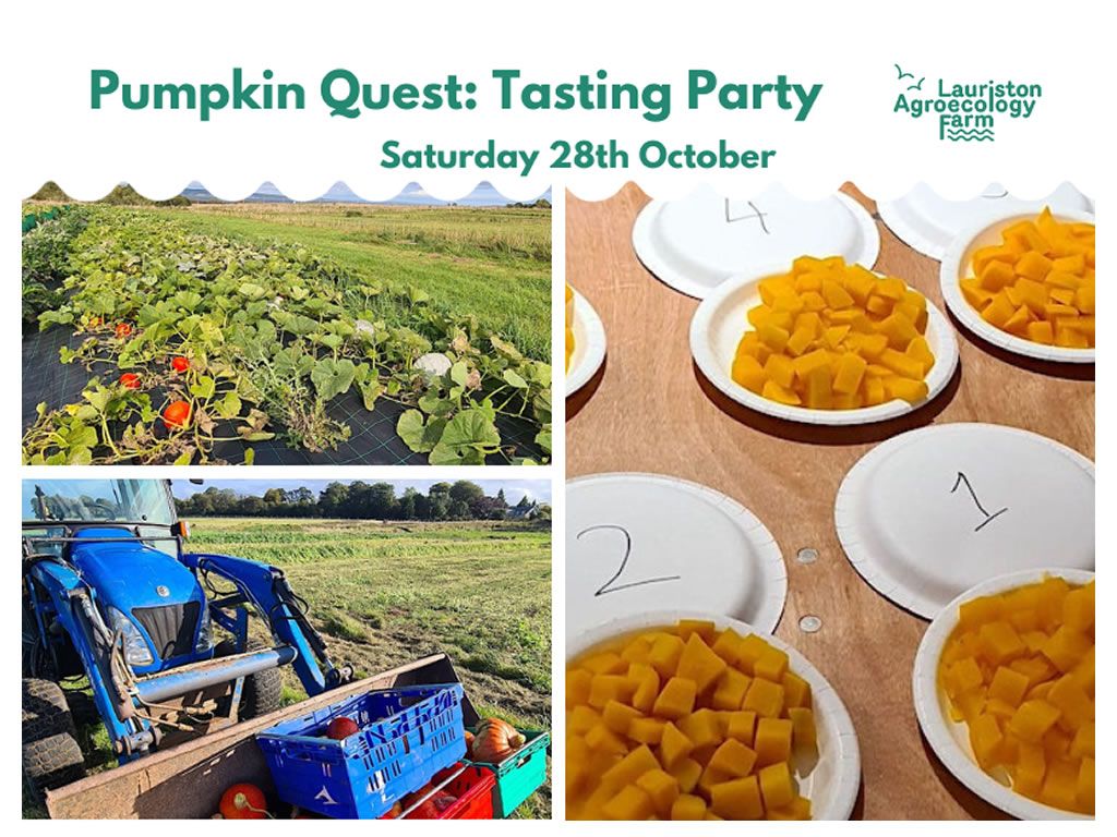 Pumpkin Quest: Pumpkin Tasting Party