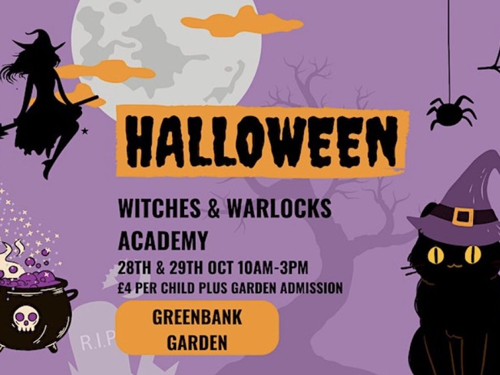 Witches & Warlocks Academy