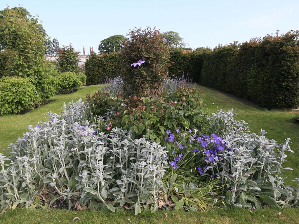 Scotland’s Gardens Scheme Open Garden: The Gardens at Archerfield Walled Garden