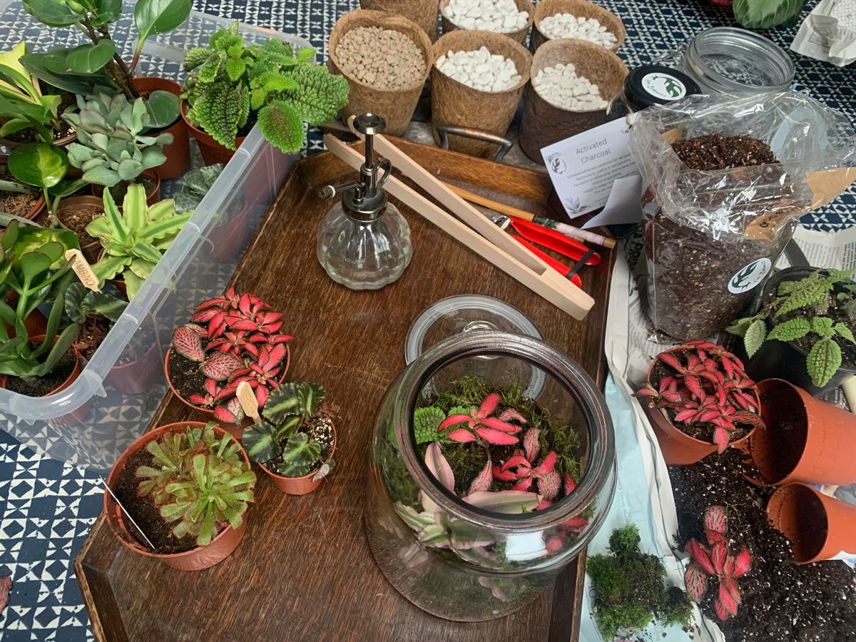 Bioactive Terrarium Workshop