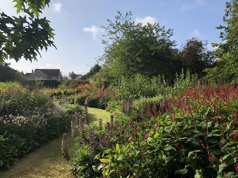 Scotland’s Gardens Scheme Open Garden: St Andrews Botanic Garden Spring Fair