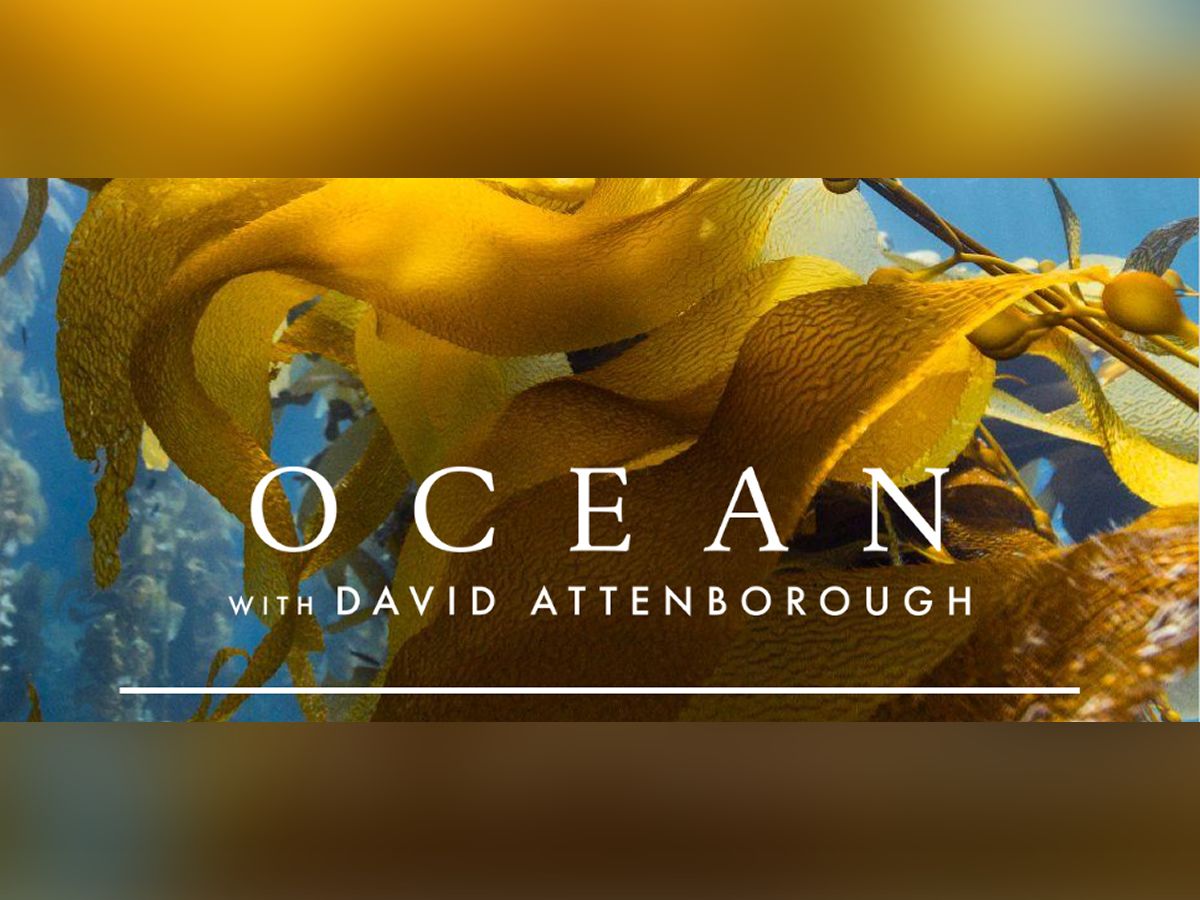 Free Screening and Q&A - Ocean With David Attenborough