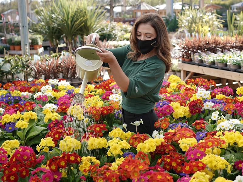 Dobbies reopens stores across Scotland