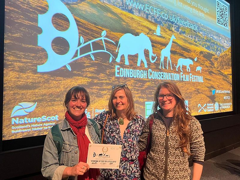 Pine hoverfly wins Edinburgh Conservation Film Festival award