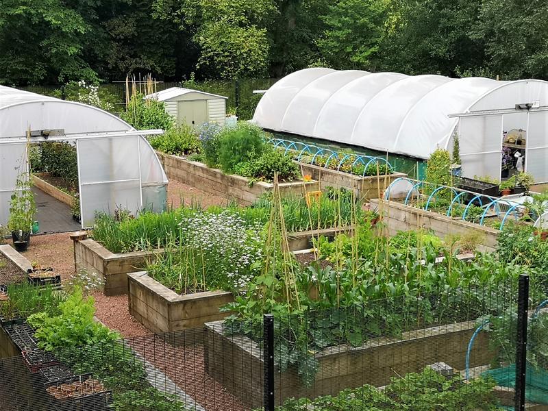 Doors Open Days Castlebank Horticultural Centre At