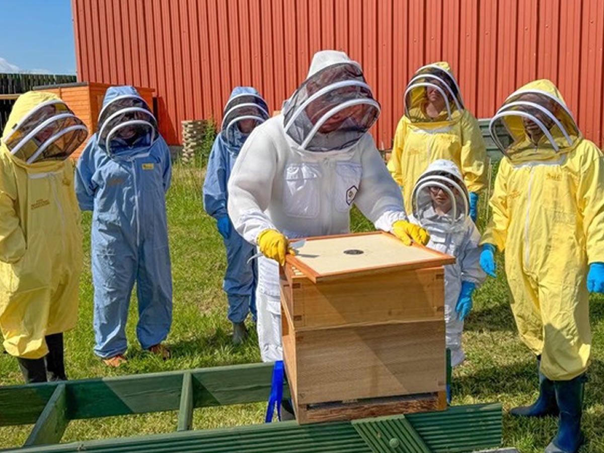 Anster Nicht: Keeping Bees in North East Fife