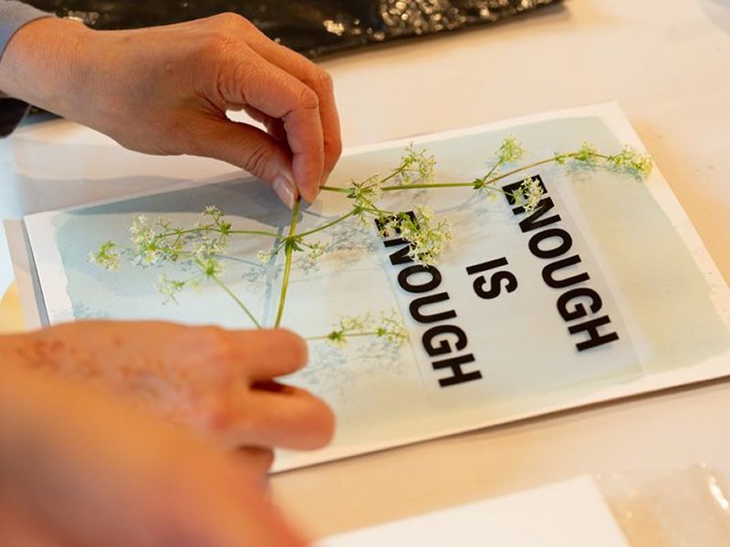 Glasgow Zine Fest: Slow letters to the future: An anthotype image making workshop
