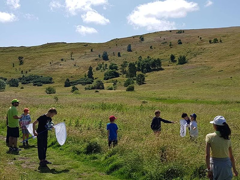 Edinburgh Science Festival: Holyrood Habitats