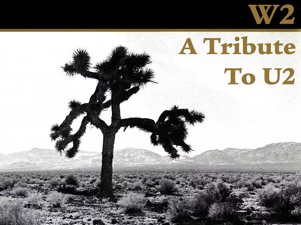 U2 Tribute: W2
