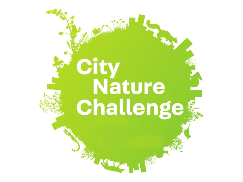 City Nature Challenge