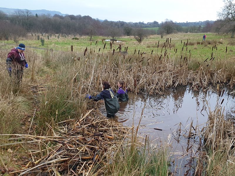 Froglife Volunteer Training - Fife Living Waters