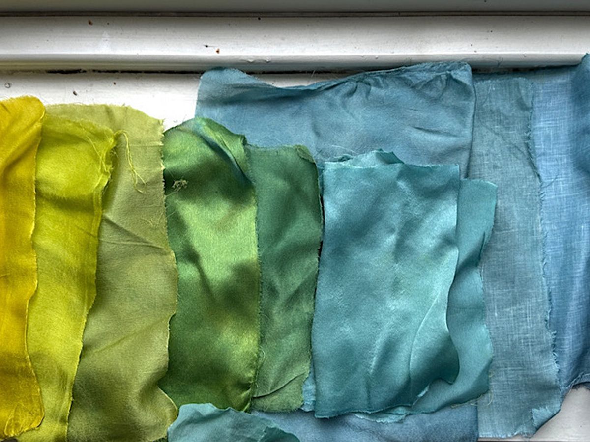 From Blue to Green, Indigo Dye Residence at The Indigo Plot