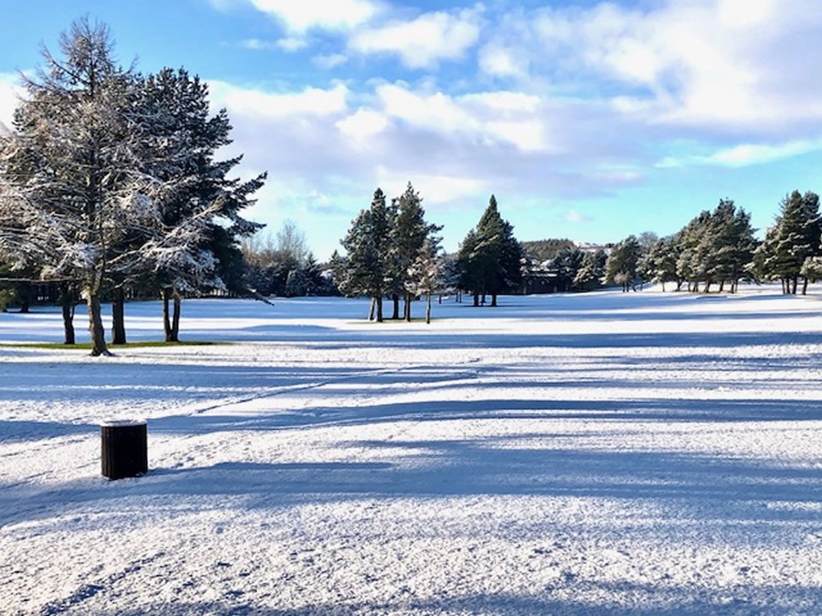 Deer Park unwraps a festive calendar of fun for December