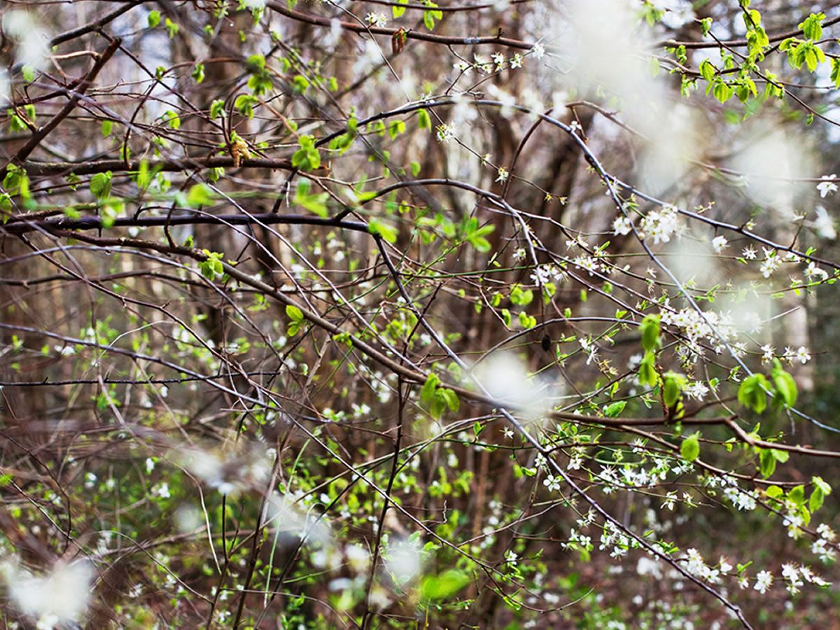 Mindful Photography Workshop