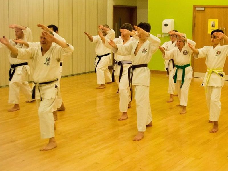 Free Beginners Karate Class