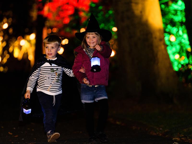 Sneak peek at brand new Halloween trail in Edinburgh Zoo