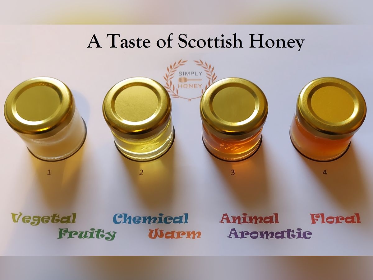 Honey Tasting Experience: Valentine’s Day Special