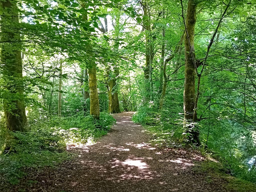Connecting With Nature In Barrhead