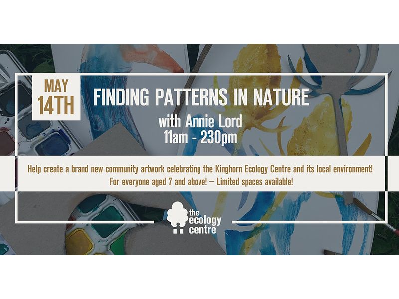 Finding Patterns in Nature