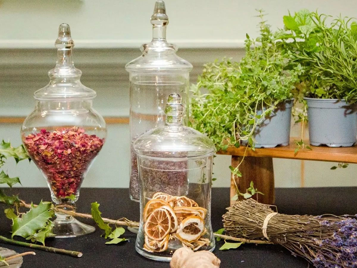 Witches or Healers