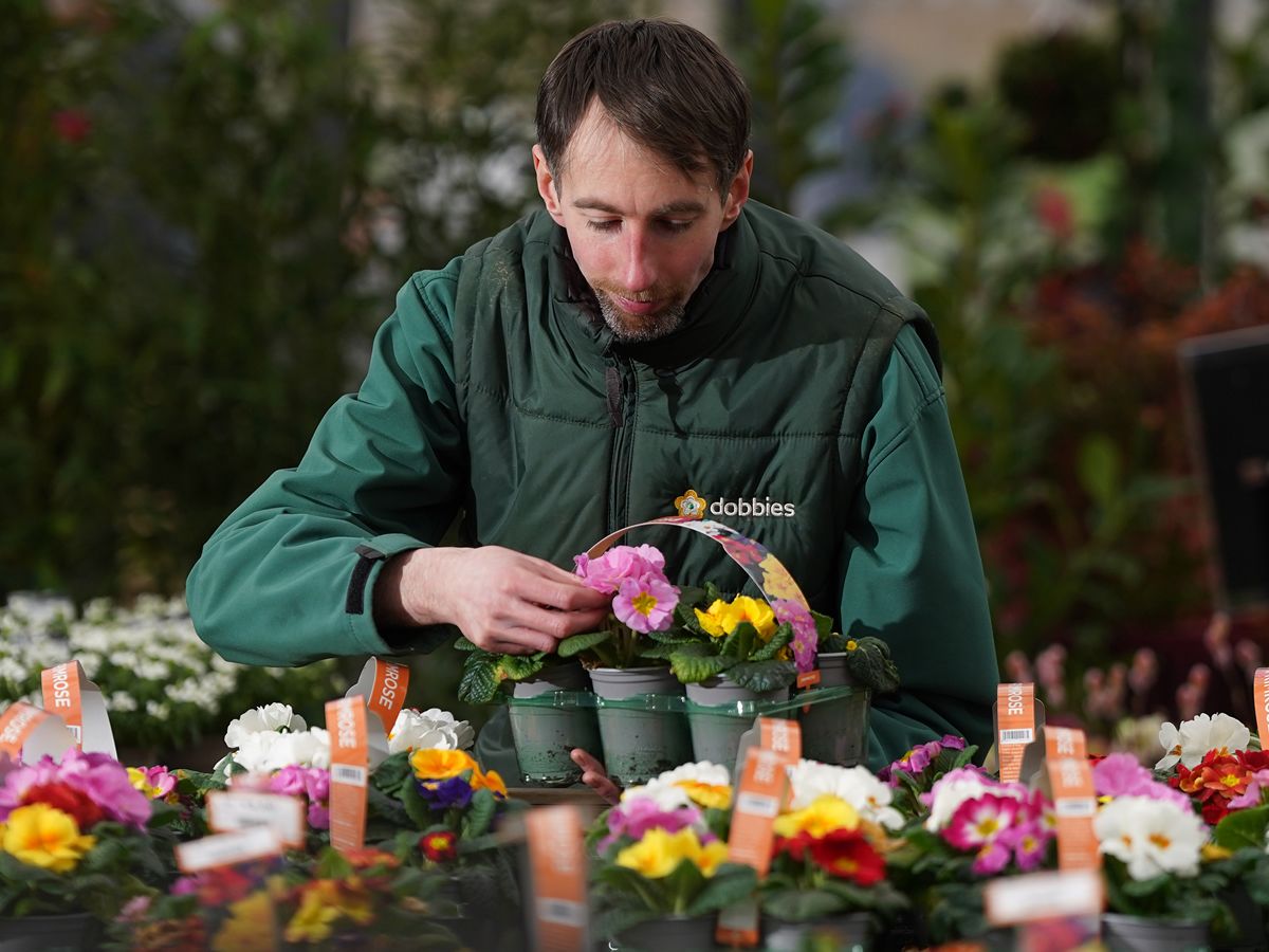 Spring starts with Dobbies Spring Shopping Evening