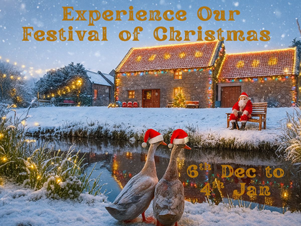 Christmas At Almond Valley